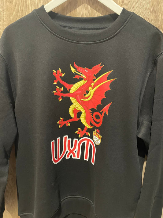 DRAGON Sweatshirt