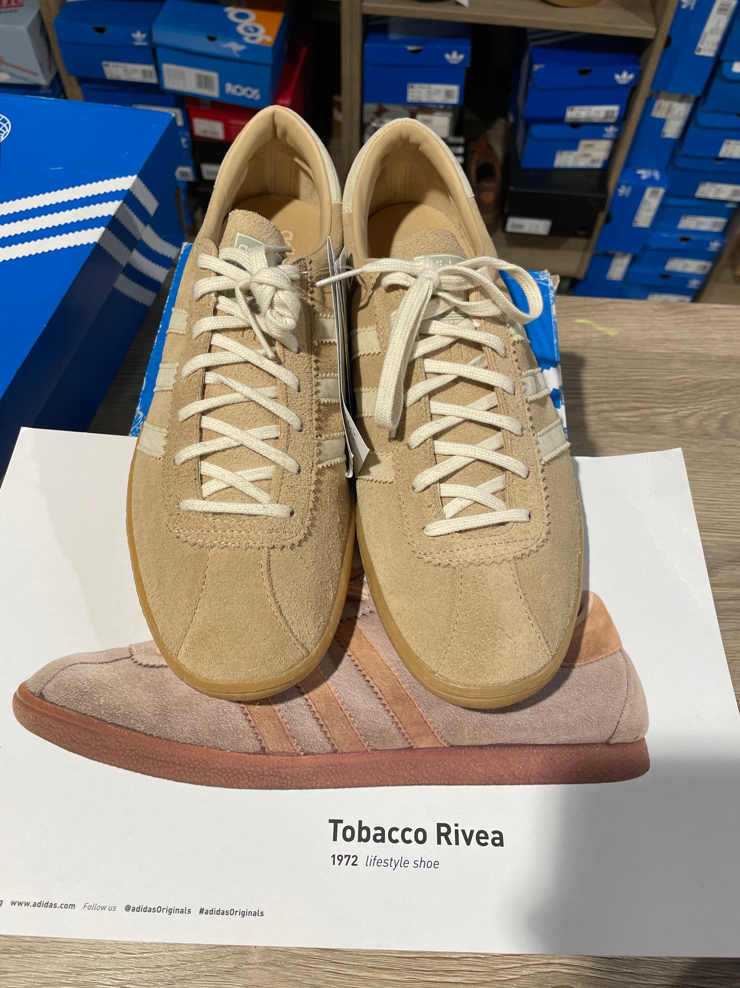 Adidas Tobacco Rivea.