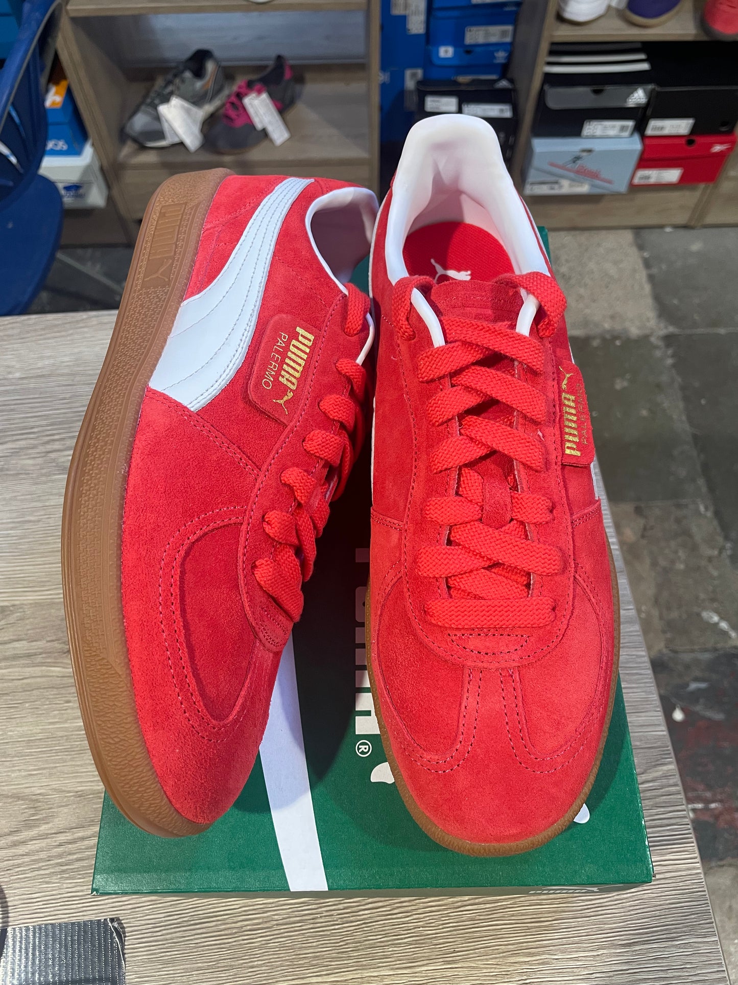 Puma Palermo