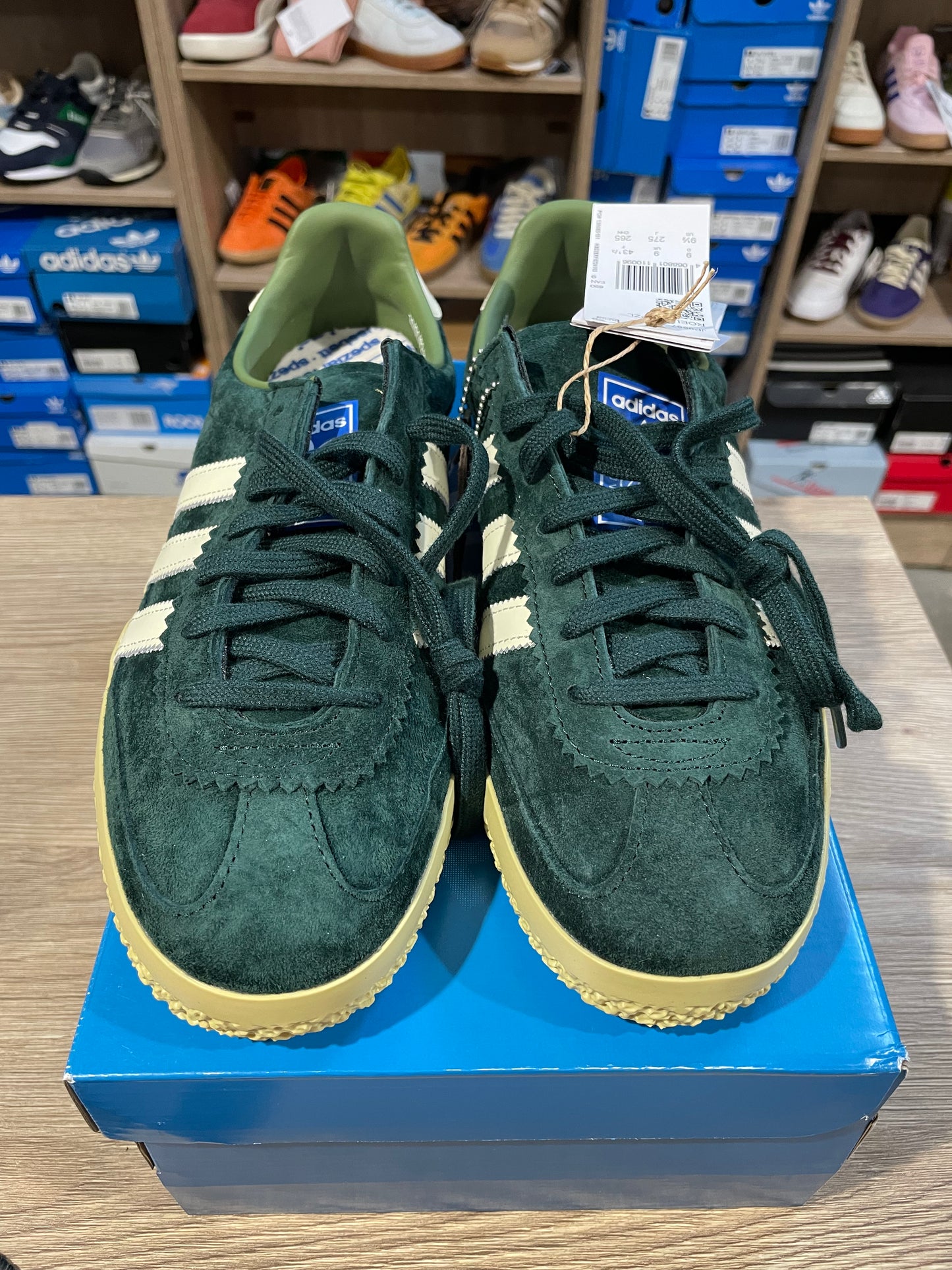 Adidas Roelee SPZL trainers