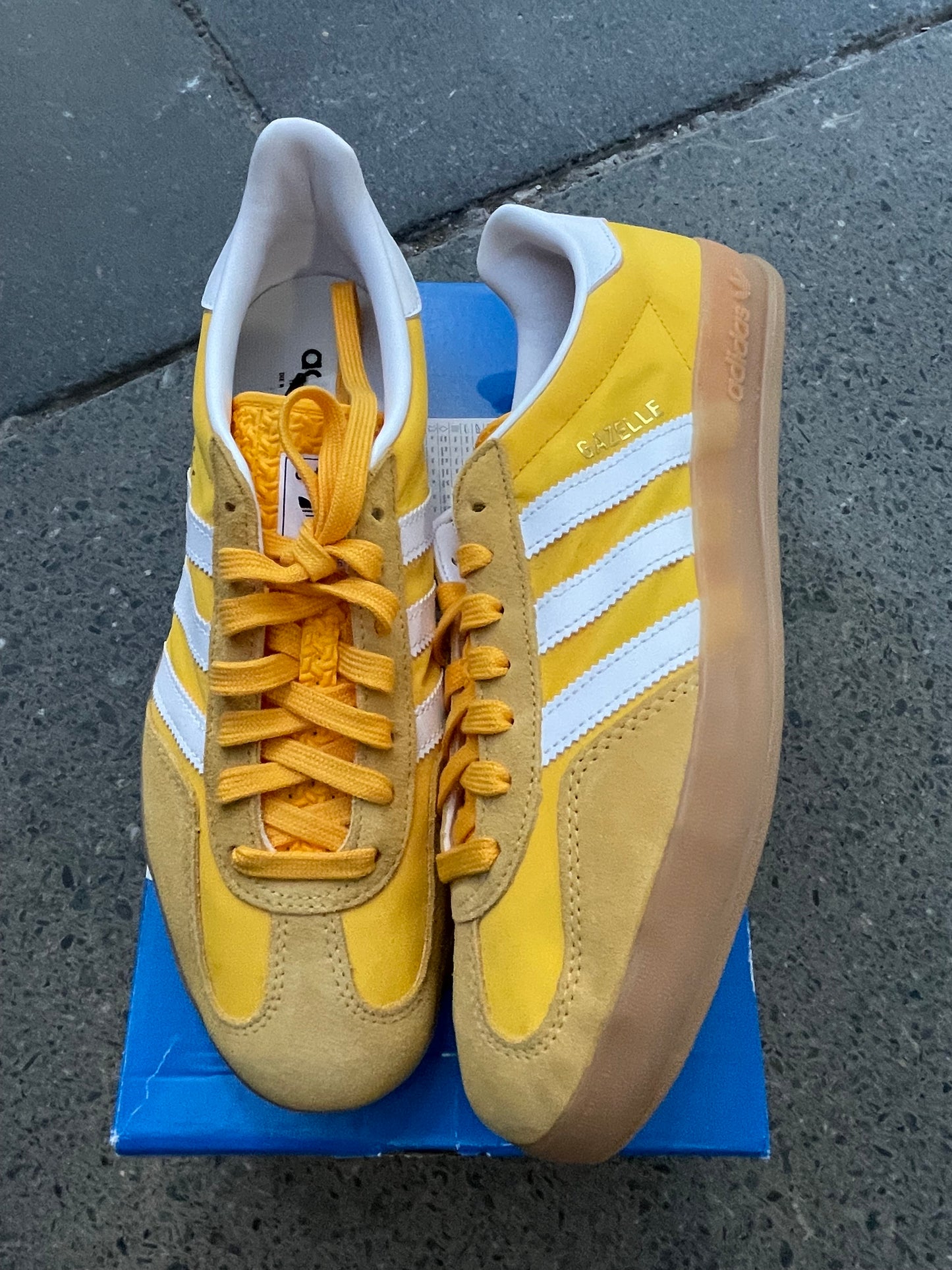 Adidas Gazelle indoors