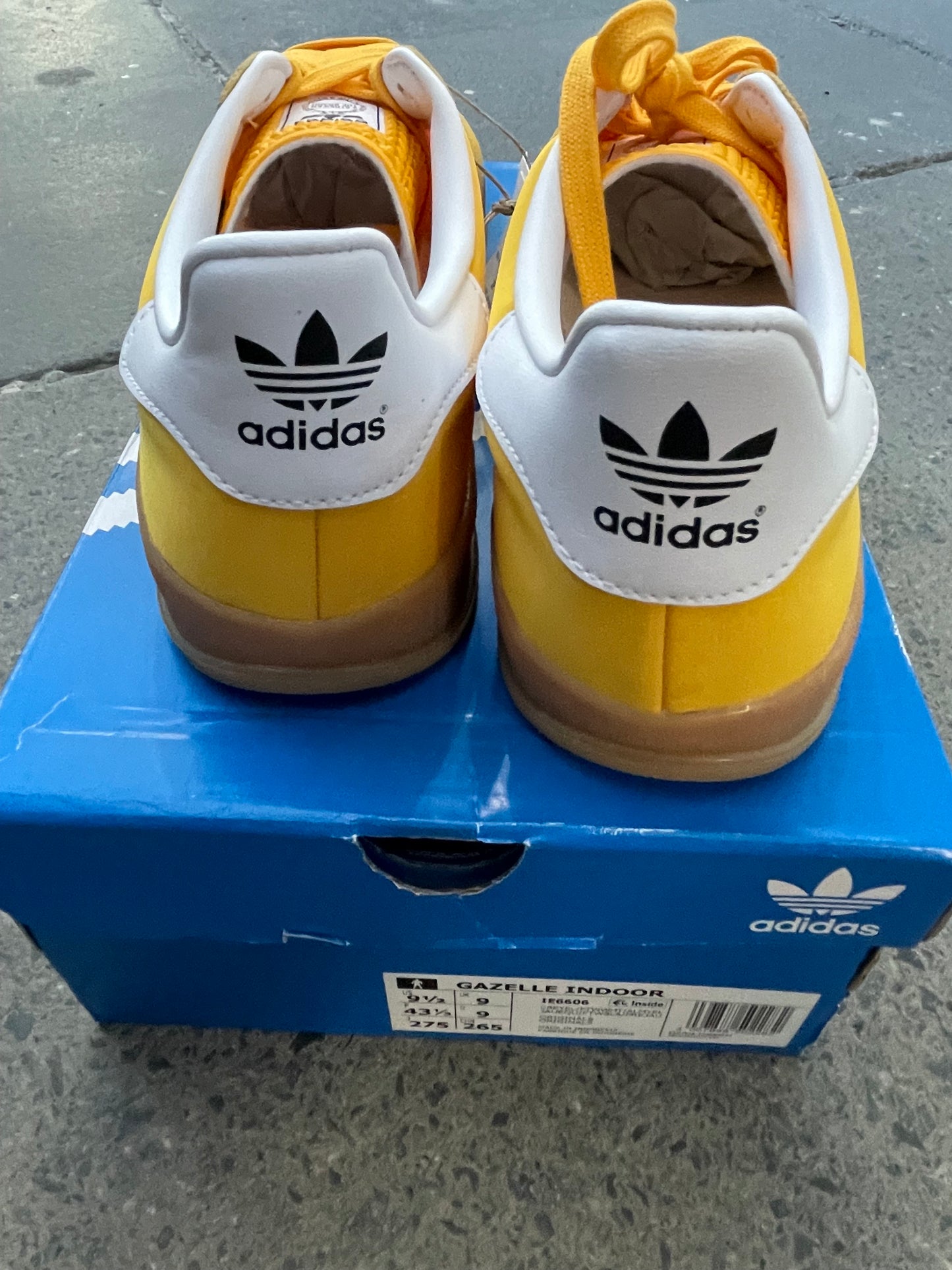 Adidas Gazelle indoors